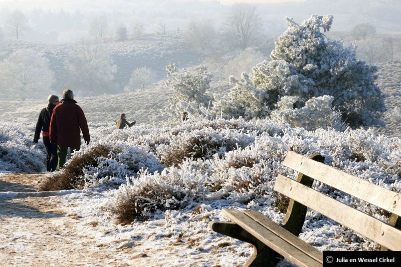 Winter op de Posbank. Er ligt bij de Posbank overigens het fraaie Paviljoen de Posbank. Het paviljoen is het hele jaar door zeven dagen per week geopend. Adres: Paviljoen de Posbank, Beekhuizenseweg 1, Rheden.Tip: Mooie plaatsen in Nationaal Park Veluwezoom.